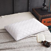 恒源祥 HYX024ZX 乳胶蚕丝枕 白色 (单位：个）